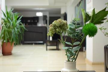 Фото номера Полулюкс Отель Hotel Corona г. Дробета-Турну- Севери 3
