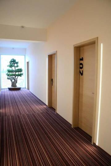 Фото номера Двухместный номер с 1 кроватью Апарт-отели Zenti Plaza Hotel г. Дробета-Турну- Севери 13