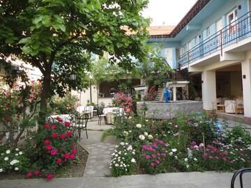 Фотографии Хостелы Hostel Tropical г. Дробета-Турну- Севери (Румыния) №5 Фото Хостелы Hostel Tropical г. Дробета-Турну- Севери 5